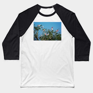 Roseate Spoonbills Baseball T-Shirt